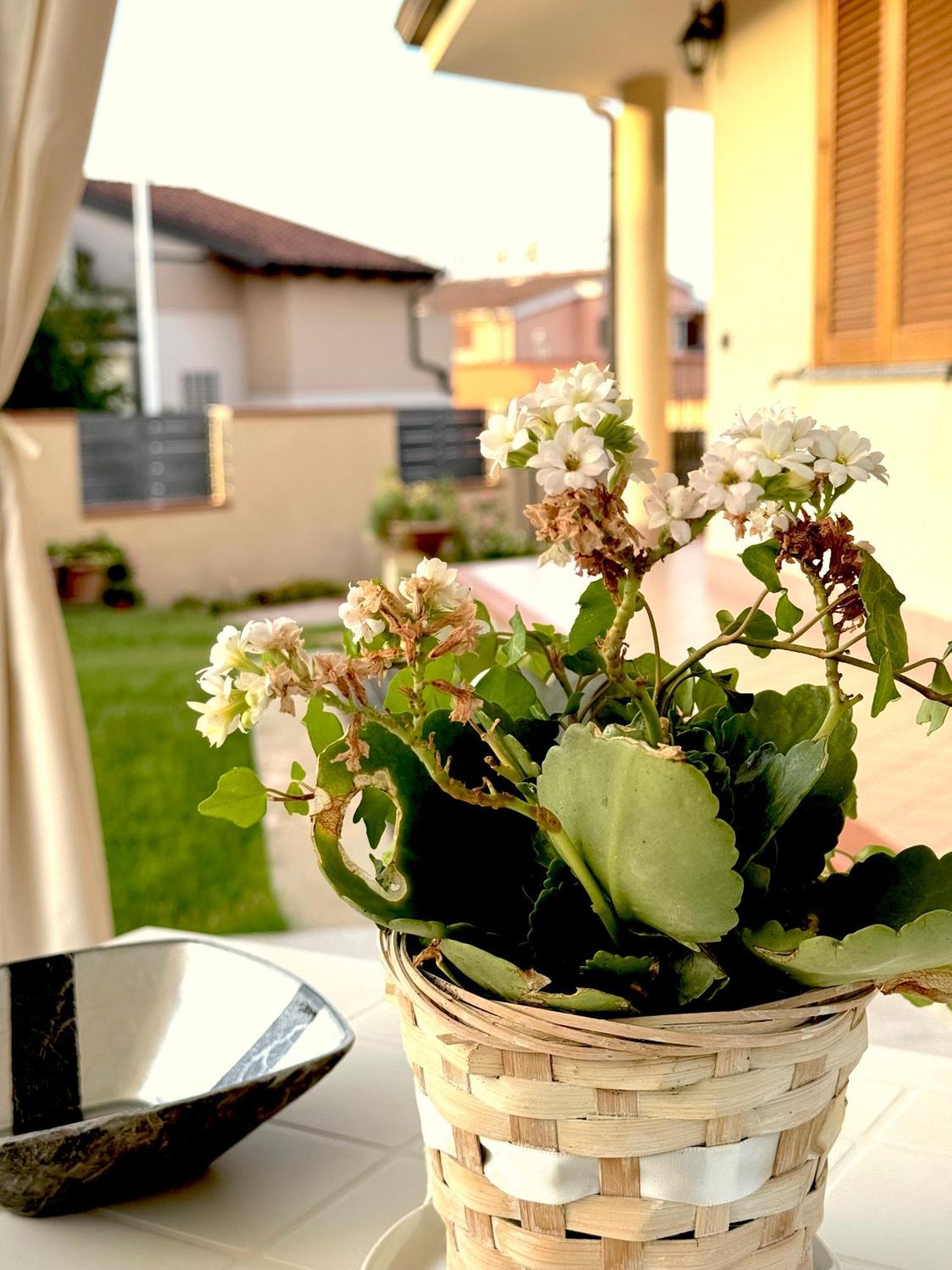Rosa's House - Zona Ospedaliera Cagliari